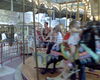 DSC00017.JPG