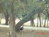 DSC00739.JPG