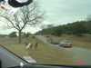 DSC00748.JPG