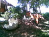 Image002.jpg