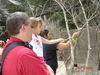 dsc00806.jpg