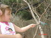 dsc00808.jpg